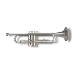 2026年最新】YAMAHA YTR1310の人気アイテム - メルカリ