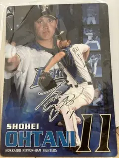 2026年最新】日本ハム大谷翔平選手下敷きの人気アイテム - メルカリ