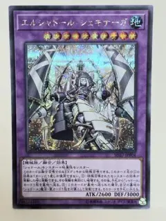 2026年最新】エルシャドール・シェキナーガの人気アイテム - メルカリ