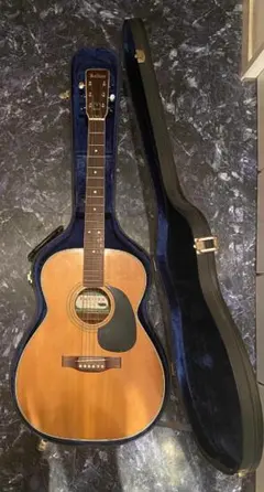 2026年最新】jullian ギターの人気アイテム - メルカリ