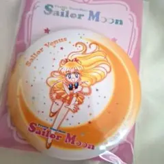 2026年最新】愛野美奈子の人気アイテム - メルカリ