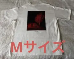 2026年最新】ロンリーラプソTの人気アイテム - メルカリ