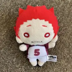 2026年最新】天童覚 にとたんの人気アイテム - メルカリ