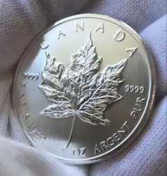 2026年最新】メイプルリーフ銀貨の人気アイテム - メルカリ