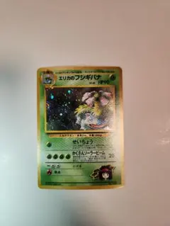 m89535052857_1.jpg?1769880639