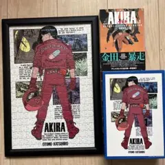 2026年最新】akira ジグソーパズルの人気アイテム - メルカリ