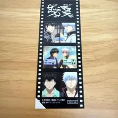 銀魂 全話フィルムシールコレクション 第1話〜第99話 未開封4BOX 非売品