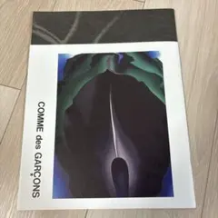 2026年最新】コムデギャルソンノベルティの人気アイテム - メルカリ