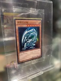 2026年最新】scb1-jpp01 未開封の人気アイテム - メルカリ