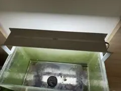 2026年最新】ada アクアスカイ60の人気アイテム - メルカリ