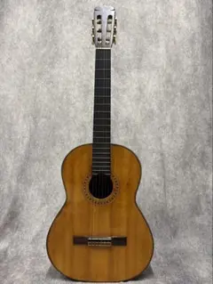 2026年最新】トップ単板の人気アイテム - メルカリ