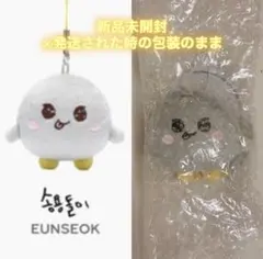 2026年最新】ソンヨンドリの人気アイテム - メルカリ