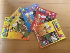 2026年最新】人体模型 アーサーの人気アイテム - メルカリ