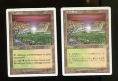 2026年最新】低木林地の人気アイテム - メルカリ