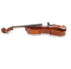 2026年最新】エレキバイオリン CV 210Eの人気アイテム - メルカリ