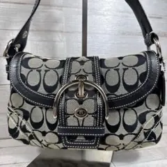 2026年最新】コーチ 10296の人気アイテム - メルカリ