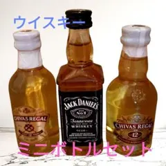 2026年最新】ジャックダニエル ミニチュアの人気アイテム - メルカリ