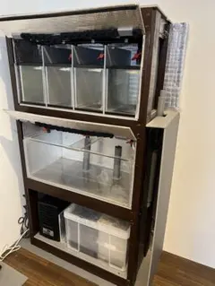 2026年最新】オーバーフロー水槽 60の人気アイテム - メルカリ