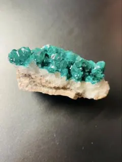 2026年最新】ダイオプテーズの人気アイテム - メルカリ