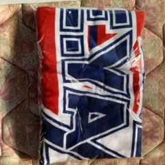 2026年最新】矢沢永吉スペシャルビーチタオルの人気アイテム - メルカリ