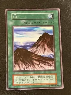 2026年最新】山 スーパー 初期 遊戯王の人気アイテム - メルカリ