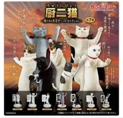 2026年最新】厨二猫の人気アイテム - メルカリ