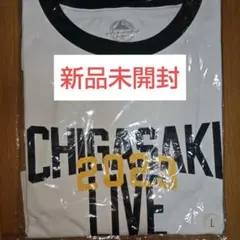 2026年最新】サザンオールスターズ茅ヶ崎ライブtシャツの人気アイテム