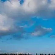 C*S様 超美品MAISON MARGIELA 20AW MMパイルパッチ BL - メルカリ