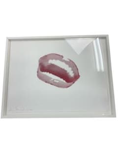 シェーンボーデンモンローリップ