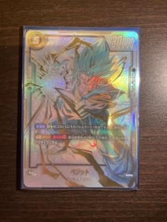 10/19.20限定！値下げ中！ベジット SCR FB02