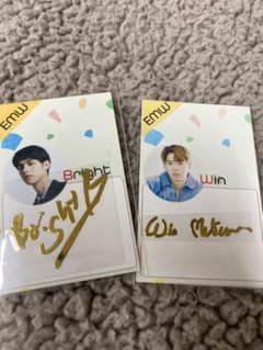 dutchmill 巨大クッションbrightwin F4 サイン入り