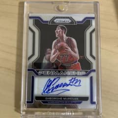 NBAカードゲオルゲムレシャン