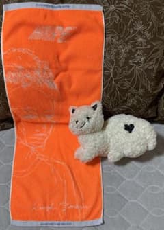 米津玄師リイシューネコちゃんWHITE HYPE タオル【2点セット】