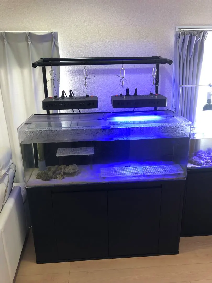 2026年最新】アクリル水槽 1200の人気アイテム - メルカリ