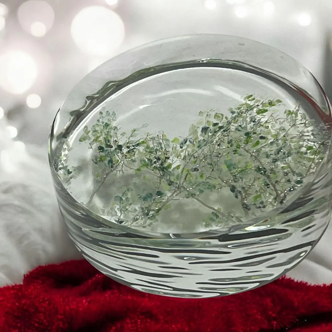 2026年最新】金津沙矢香 百花景の人気アイテム - メルカリ