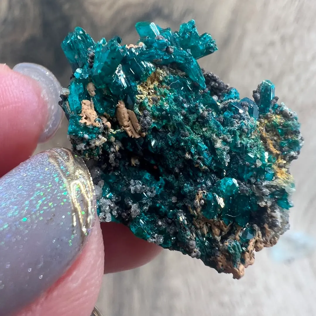 2026年最新】ダイオプテーズの人気アイテム - メルカリ