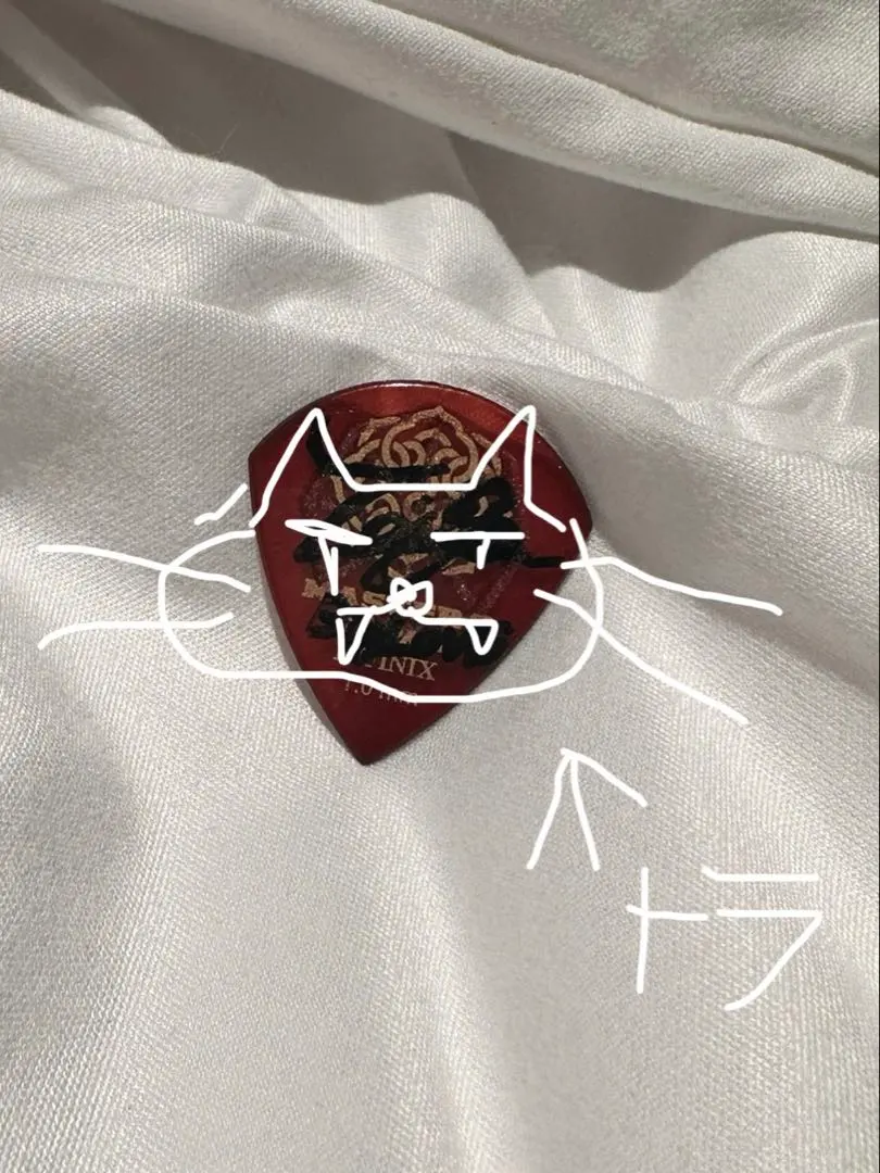 2026年最新】シンガーズハイ ピックの人気アイテム - メルカリ