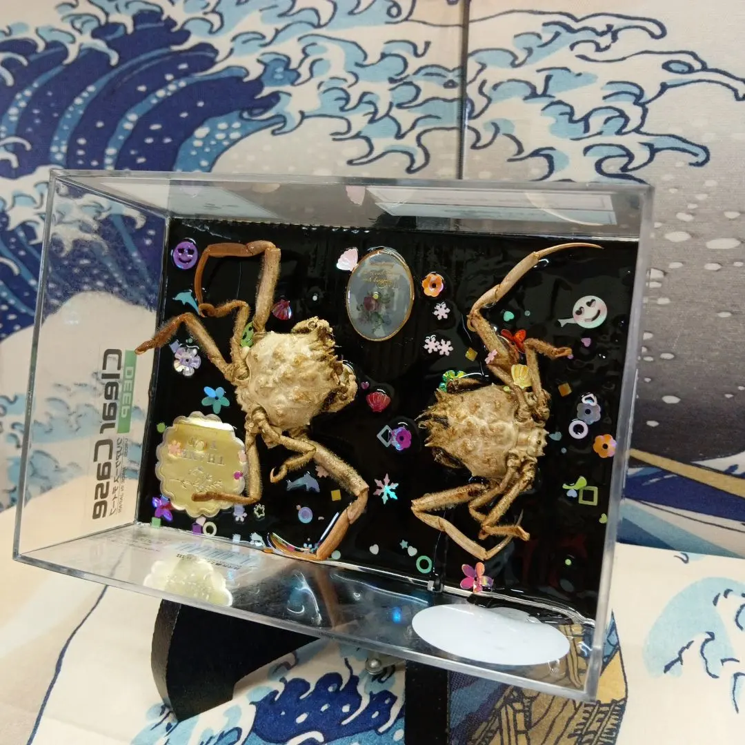 2025年最新】屋島の合戦の人気アイテム - メルカリ 稀少レア平家怨霊