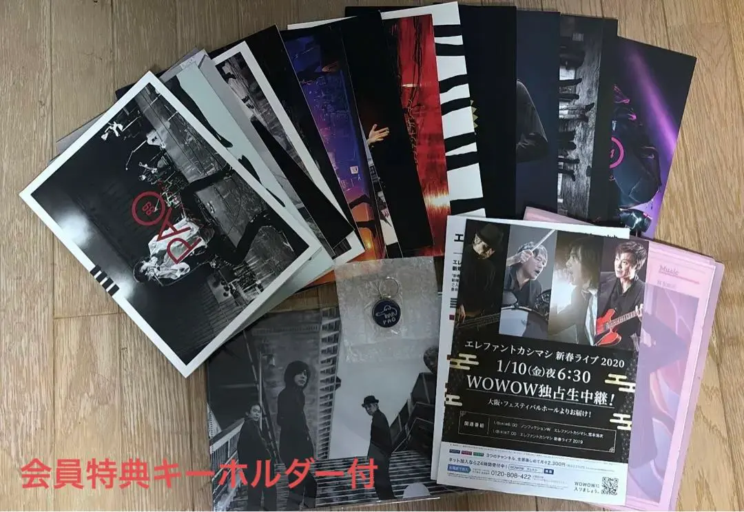 エレファントカシマシ会報PAO3 エレカシ宮本浩次バックナンバー完売品