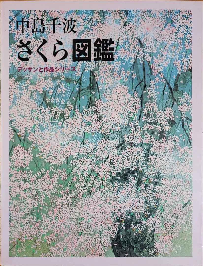 中島千波】金色の額縁に優雅な満開の桜