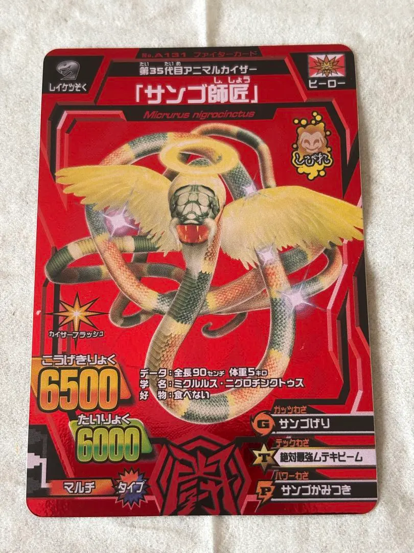 2026年最新】アニマルカイザー サンゴ師匠の人気アイテム - メルカリ