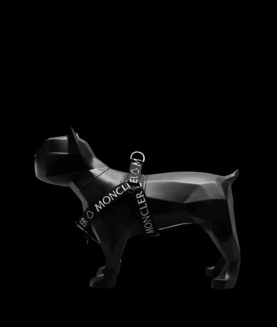 2026年最新】MONCLER 首輪・ハーネス・リードの人気アイテム - メルカリ