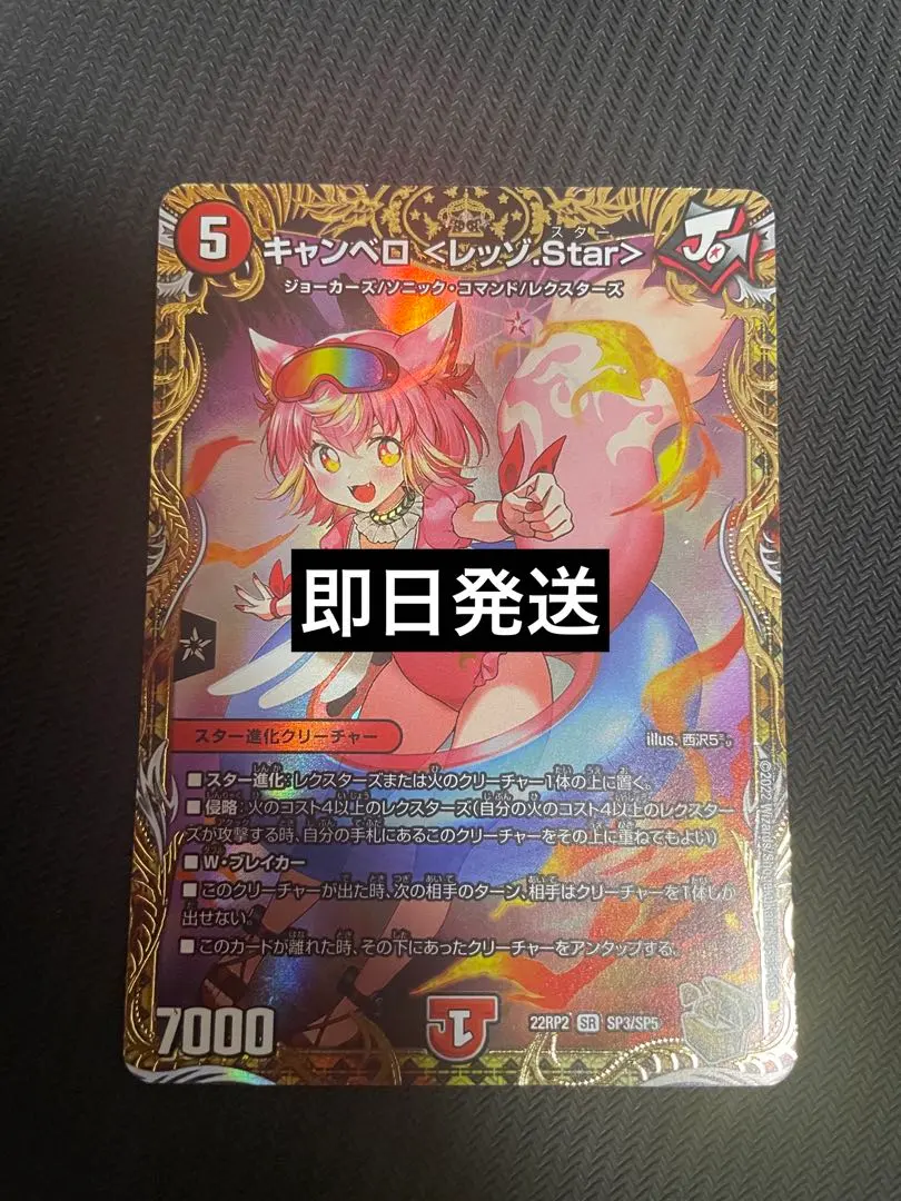 2026年最新】キャンベロ レッゾstar 金トレジャーの人気アイテム