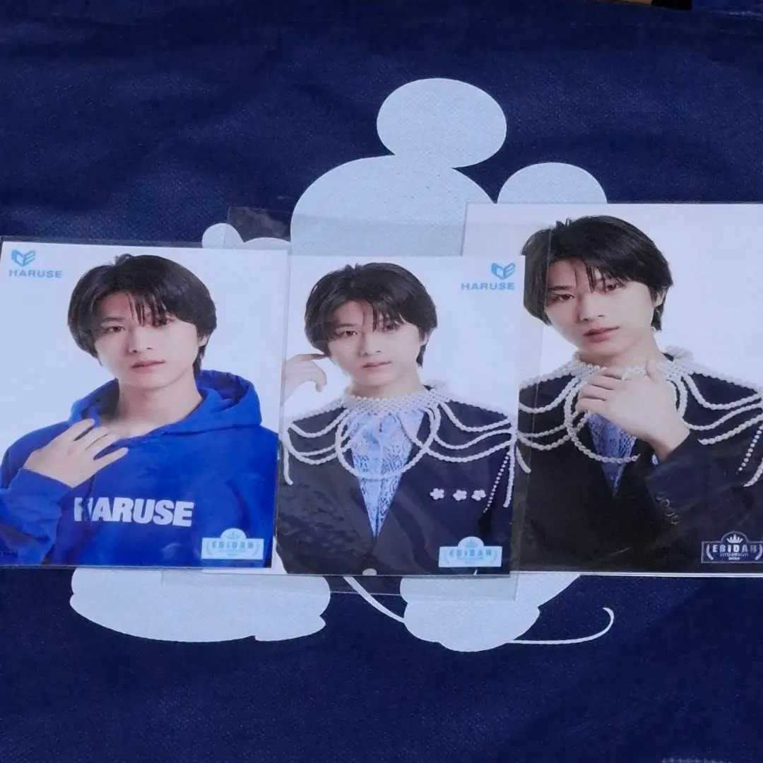 2026年最新】ebidan パーカーの人気アイテム - メルカリ