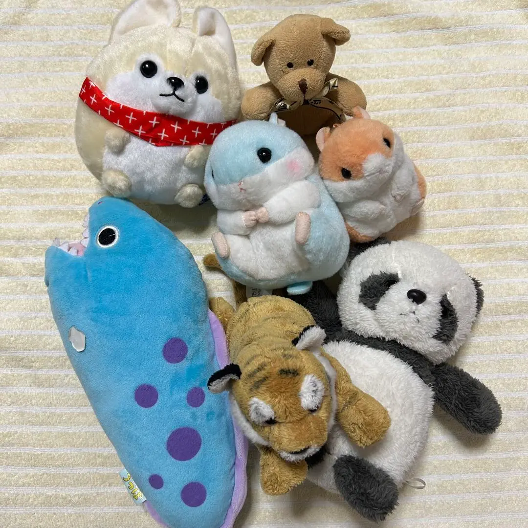 2026年最新】トラウツボの人気アイテム - メルカリ