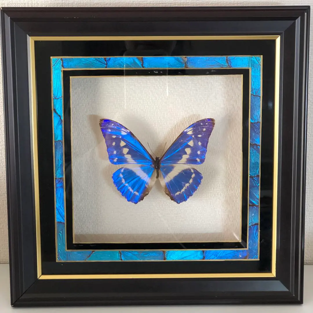 m27553526357_1.jpg?1763959788