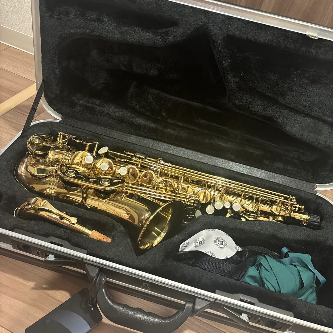 2026年最新】Antigua サックスの人気アイテム - メルカリ