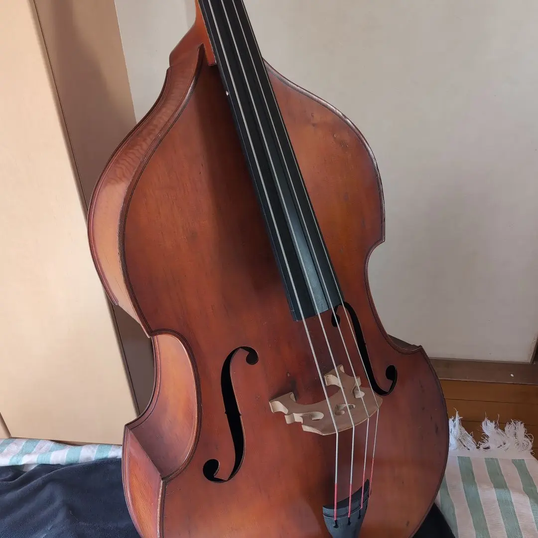 2026年最新】suzuki コントラバスの人気アイテム - メルカリ