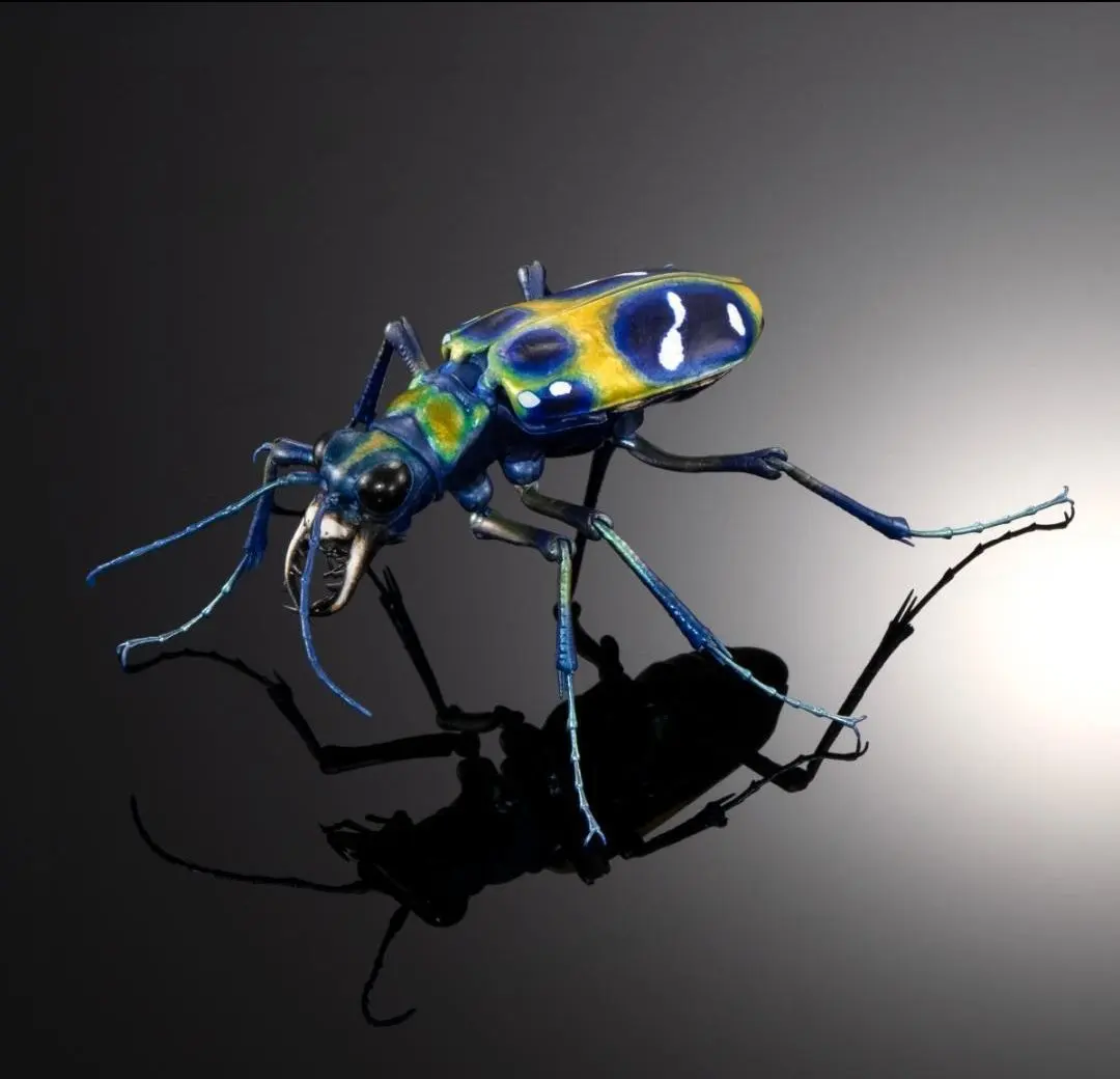 2026年最新】オオキバウスバカミキリ 標本の人気アイテム - メルカリ