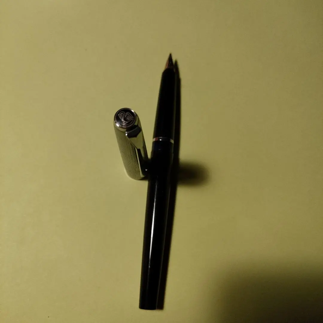 2026年最新】ペリカン silvexaの人気アイテム - メルカリ